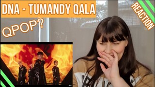 DNA - TUMANDY QALA REACTION/COMMENTARY