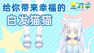 【Live2D展示】小幸猫猫的全身给你看