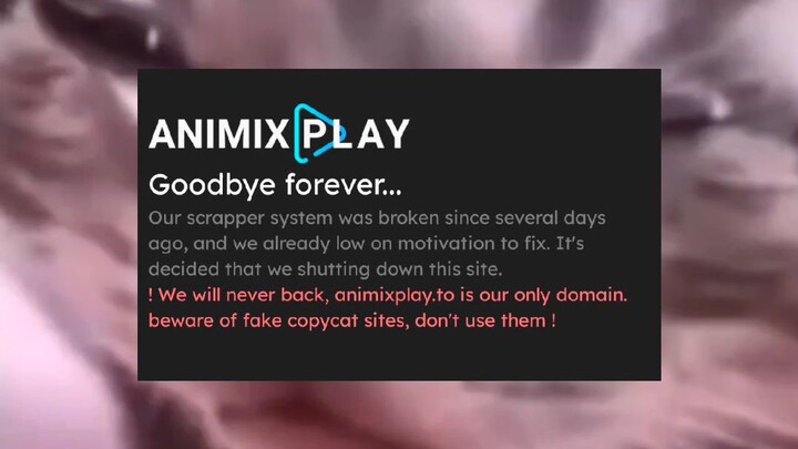 Rip Animixplay