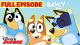 Top 10 Underrated Bluey Episodes