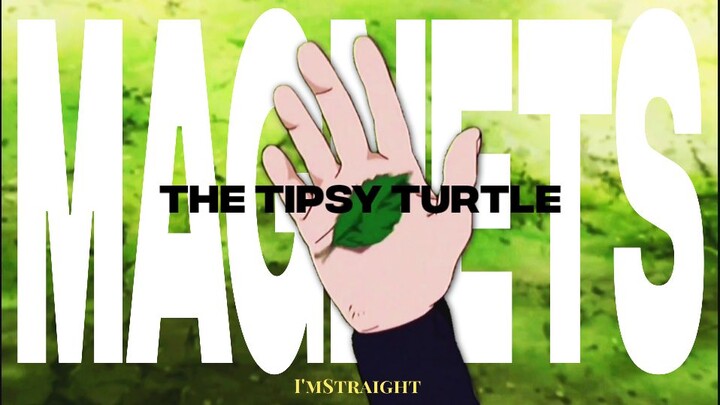 The Tipsy Turtle - Magnets [AMV]