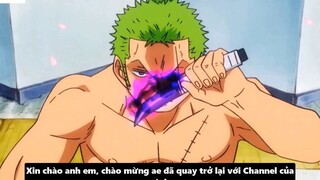 Zoro Có Haki Bá Vương_ - Tiềm Năng Sức Mạnh Của Zoro _ Giả Thuyết One Piece 1