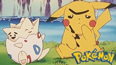 Pokémon Tập 100: Hòn Đảo Phía Nam, Tất Cả Tập Hợp! (Thuyết Minh)