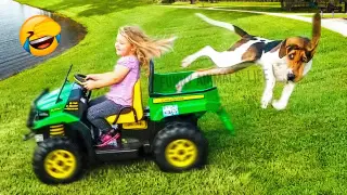 Best Funny Animal Videos 2022 🐶 - Funniest Dogs And Cats Videos 😁🤣