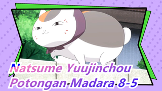 [Natsume Yuujinchou] Potongan Madara 8-5