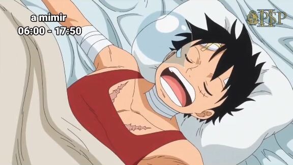 yu tutor dari Luffy ni><