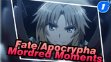 Fate/Apocrypha Cut | Mordred Moments Cut_F1