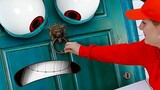 Xiaomen likes to play pranks, which makes the owner bewildered. The funny short film "Funny Door"