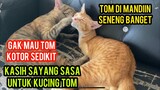 Masya Allah Kucing Tom Yang Gak Punya Tangan Di Bantu Kucing Sasha Untuk Mandi ..!