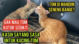 Masya Allah Kucing Tom Yang Gak Punya Tangan Di Bantu Kucing Sasha Untuk Mandi ..!