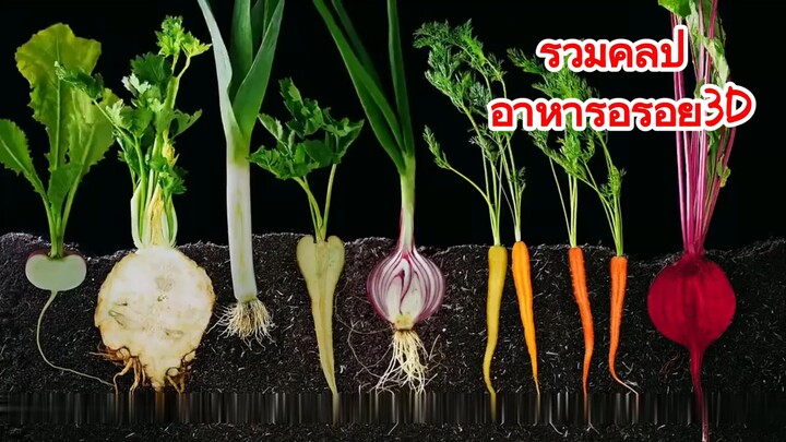รวมคลิป อาหารอร่อย3D