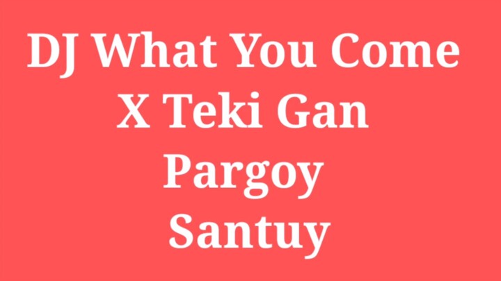 DJ What You Come X Teki Gan Pargoy Santuy