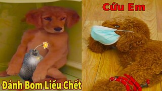 Thú Cưng TV | Cô cô và Sầu riêng #21 | Chó Golden Gâu Đần thông minh vui nhộn | Pets cute smart dog
