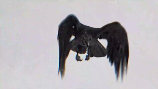 Garouden: Cô Lang Chi Đạo EP 7 [Sub Việt]
