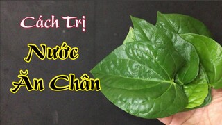 Cách đơn giản chữa nước ăn chân tại nhà bằng 1 nắm lá trầu không, hiệu quả rất nhanh