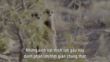 Âm Thanh Của Trái Đất - Earthsounds EP 07 [Sub Việt]
