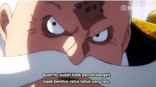 reaksi ketakutan gorosei jika buah iblis gomu-gomu luffy bangkit