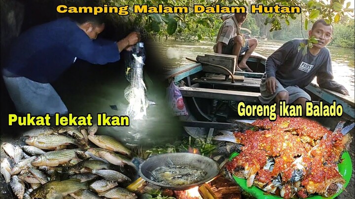 Camping Malam Di Hutan