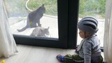 เด็กน้อยอยากเล่นกับแมว