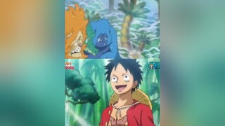 Anh Em nhà này y chang luffy ace onepiece xuhuong