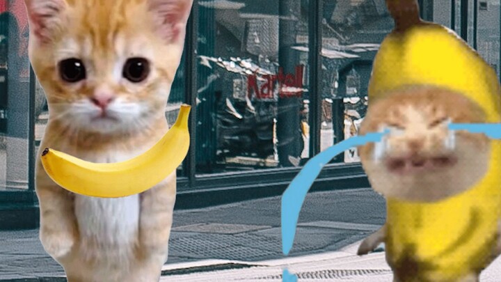 Banana Cat ขายกล้วย แต่ตุ๊กตากลับโยนทิ้งไปขโมยไป