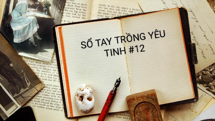 SỔ TAY TRỒNG YÊU TINH - TẬP 12/14