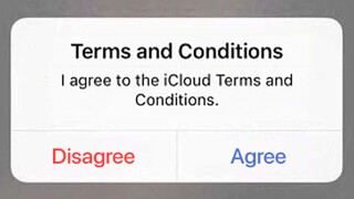 When You Disagree to the Terms & Conditions...