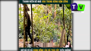 Cuộc sống trong rừng p3