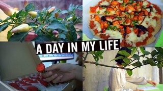 A day in my life vlog 1 - Sống 1 mình thì làm gì? - pizza có thật sự ngon
