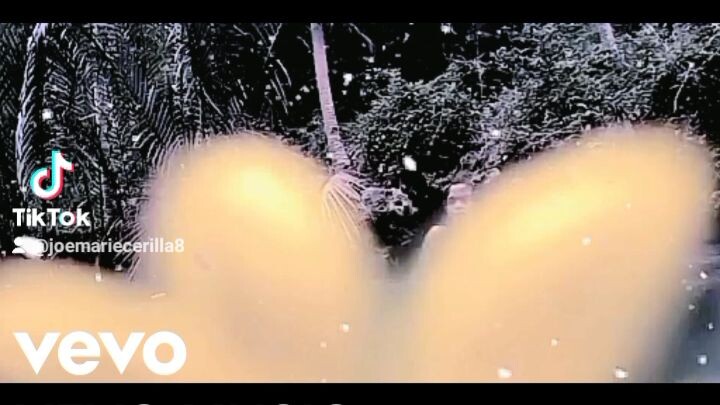 Joemarie elastic heart music video
