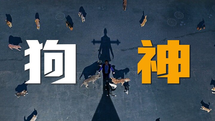 「弱者，总能找到生存的方法」