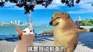 八戒八戒，心肠不坏