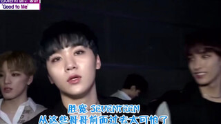 【SEVENTEEN】胜宽觉得超可怕的哥哥们（黑帮大佬pose）