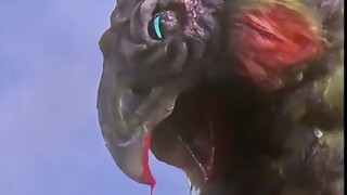 "Its shape is like a chicken, with five colors and patterns, and its name is Phoenix."