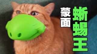 因为这个面具，我家猫已经不睬我了