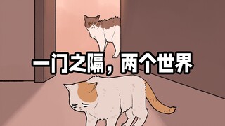 流浪猫：如果不曾看到门内的宠物猫，我还以为猫生来都是流浪的...