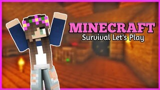 Minecraft Survival Let's Play Episode 11 | CAVE SPIDER XP FARM