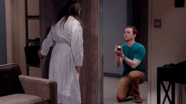 【TBBT】After being forcefully kissed by a fangirl, Sheldon finally proposed!!!