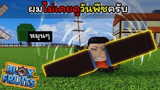 ถึงจะตั้งชื่อว่าลูฟี่ แต่ก็ไม่เคยดูวันพีช [Blox Fruits]