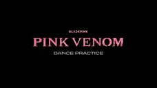 BLACKPINK - ‘Pink Venom’ M-V DANCE PRACTICE