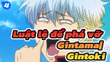 Luật lệ để phá vỡ Gintama| Bộ sưu tập Các cảnh chiến đấu kinh điển của Gintoki_4