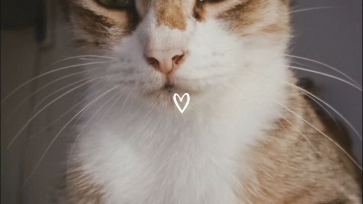 soo cute