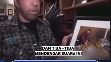 chuck norris