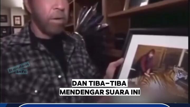 chuck norris