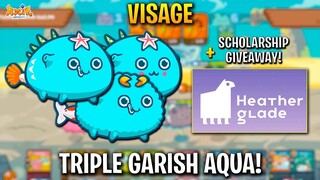 TRIPLE GARISH AQUA! TOP RANK (Visage) 3000 MMR + HEATHERGLADE SCHOLARSHIP GIVEAWAY! | AXIE INFINITY