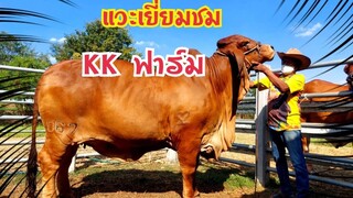 แวะเยี่ยมลุงเขียว KK  ฟาร์ม จ.บุรีรัมย์