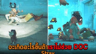 จะเกิดอะไรขึ้นถ้าเราไม่ช่วย DOC Stray