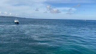 你的出现，让我的生命充满了阳光，找到了努力的方向，在你的光辉下，我才能茁壮成长！