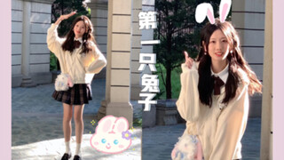 【生日作】AKB48第一只兔子 太喜欢这个阳光啦