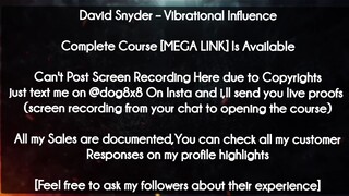 David Snyder course - Vibrational Influence download